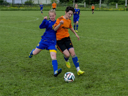 ������������ ����. ������� WU15 - ������������� WU15: ������������ - wfpl.com.ua, ������� WU15, ������������� WU15, ������������ ����, ������������,  ������� ������