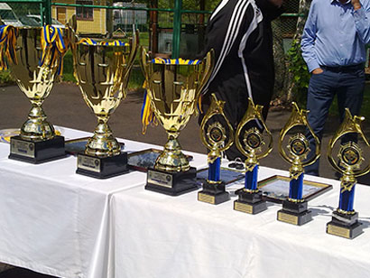 ������������� "˳���" � ���������� ��������� ������ ����� ������ ������ ���� ��� WU-14 (²���) - wfpl.com.ua, ��������� ������� WU14,  ������� ������